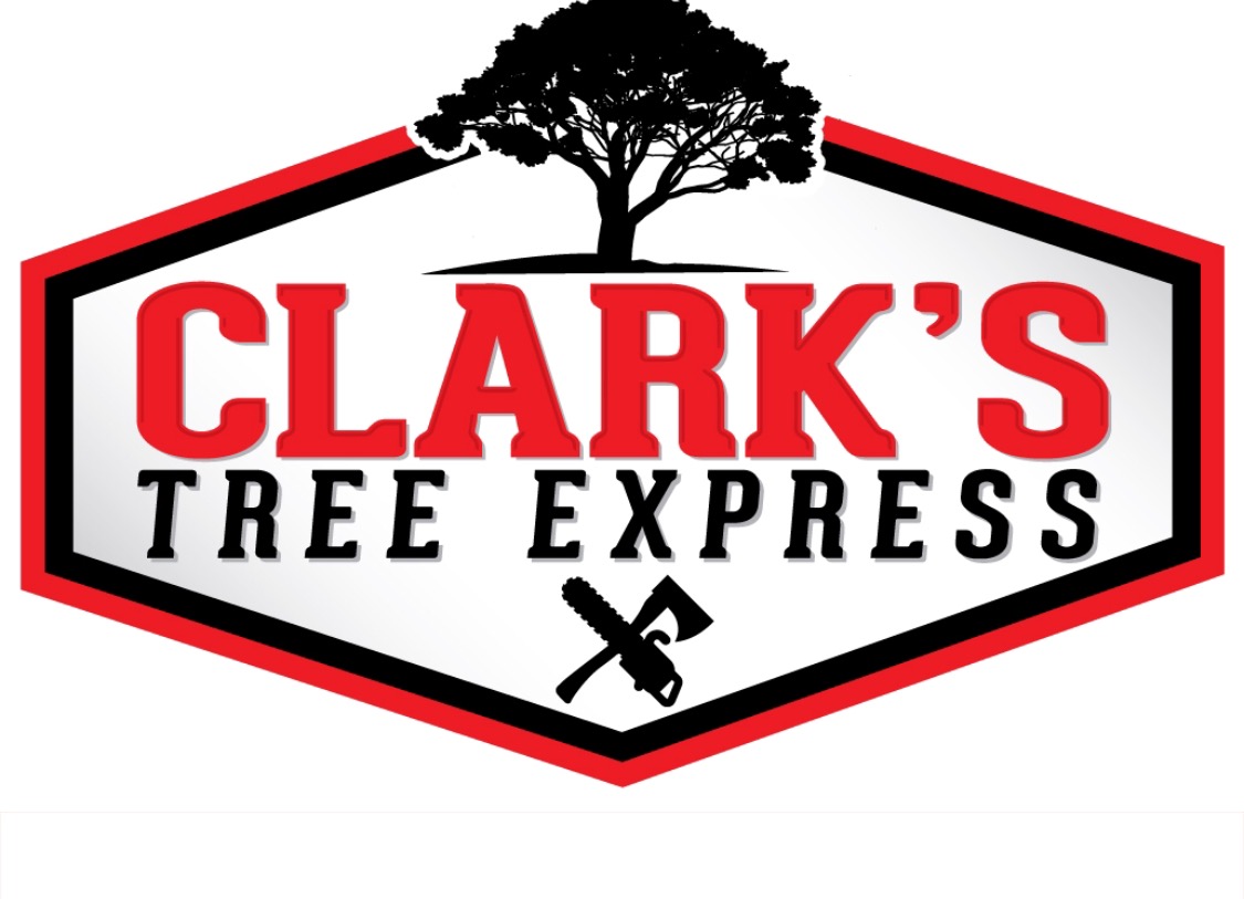 Clark's Tree Express Logo
