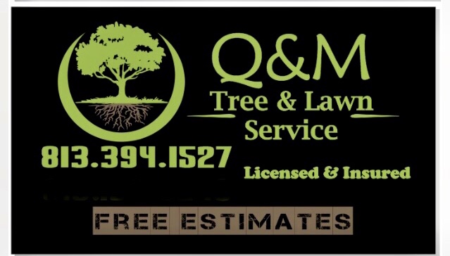 Q & M Tree And Lawn Services, LLC Logo