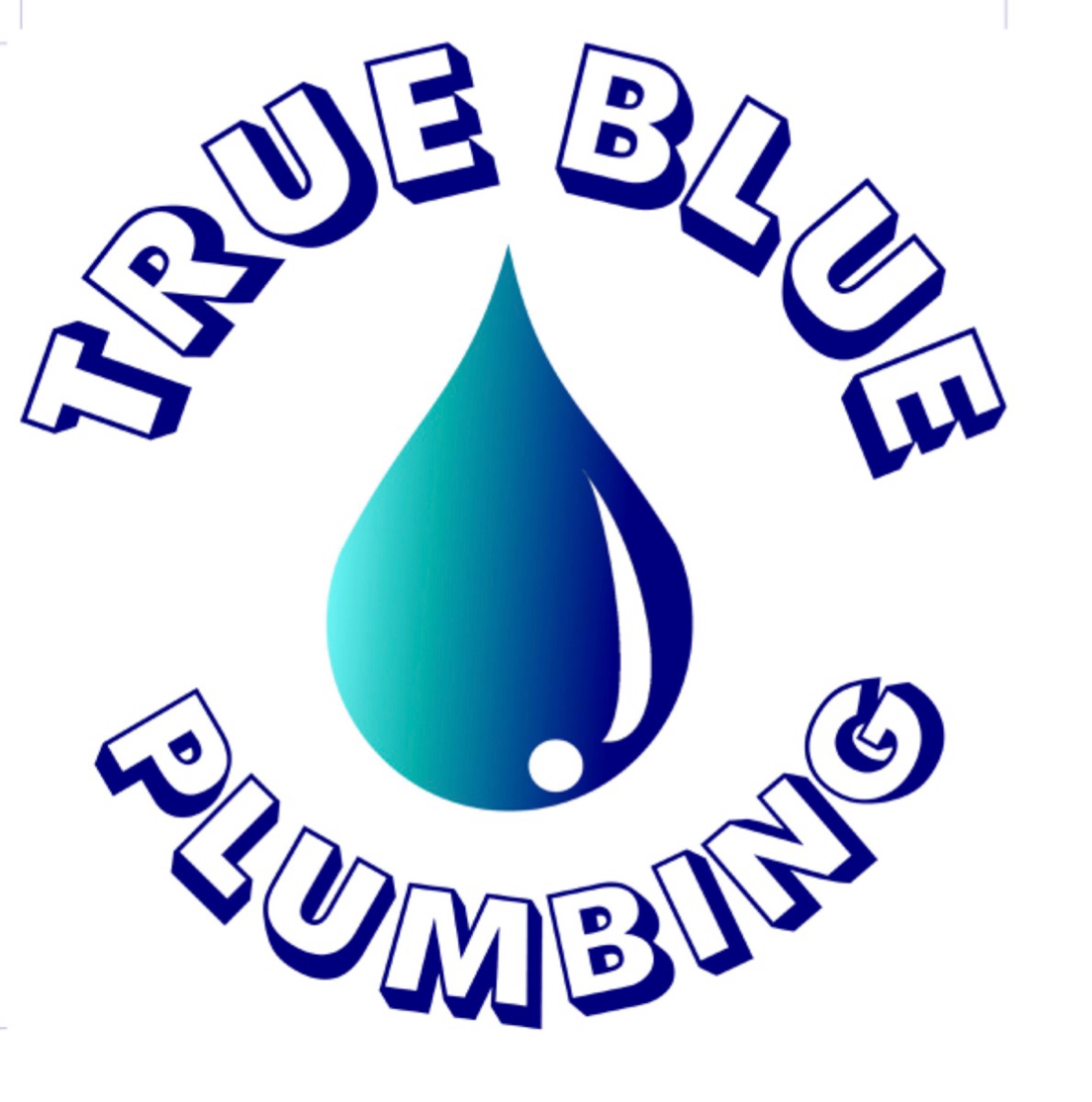 True Blue Plumbing Co. Logo