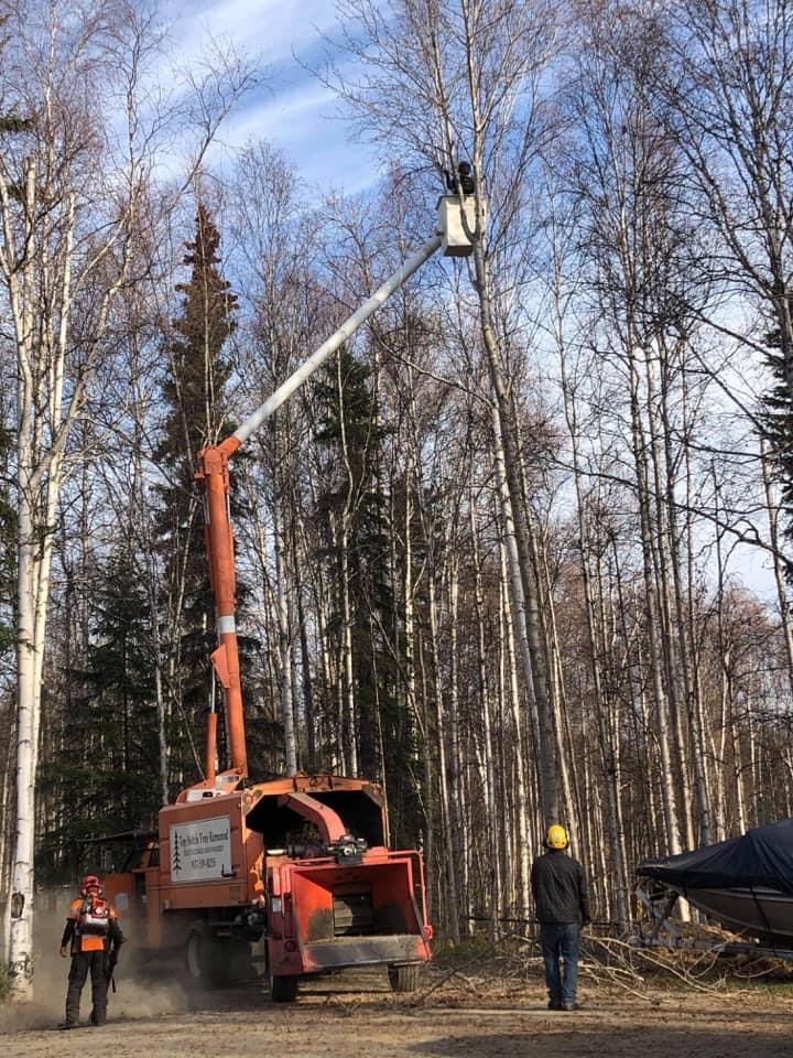 Top Notch Tree Removal, LLC Logo