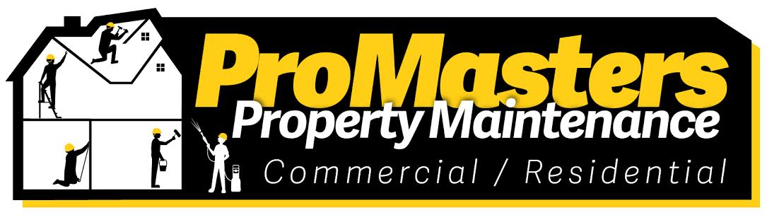 ProMasters Logo