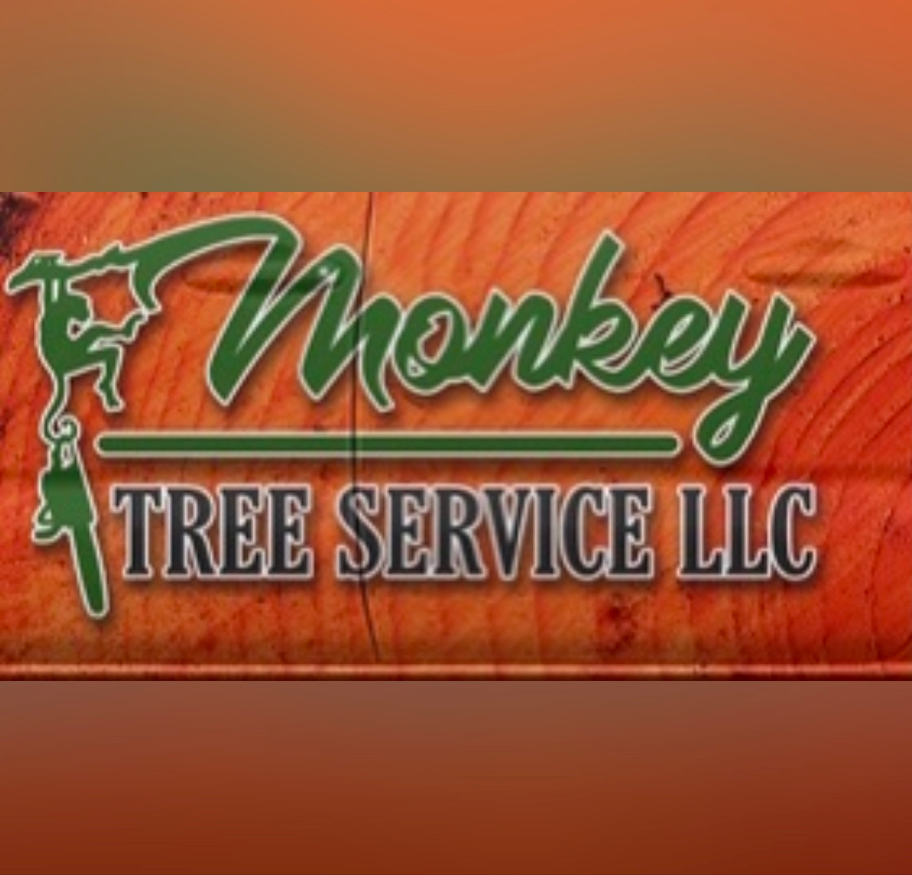 Monkey Tree Service, LLC Logo