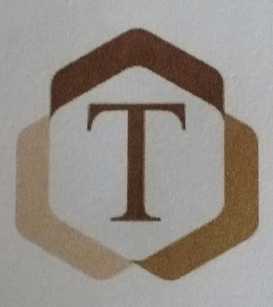 T Enterprise Logo