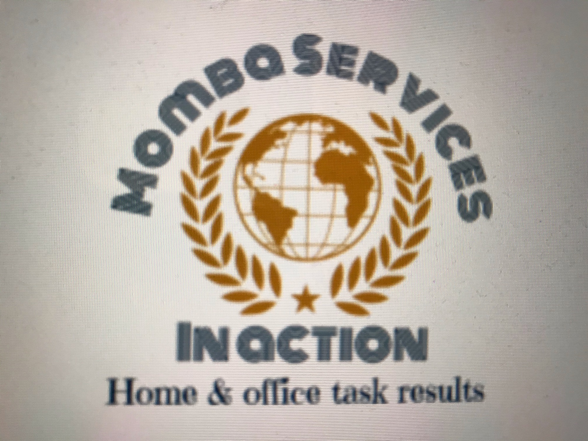 Momba Services in Action Logo