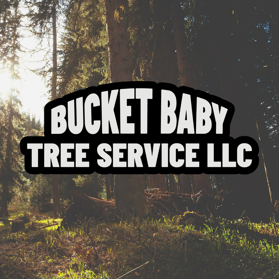 Bucket Baby Tree Service, LLC Logo