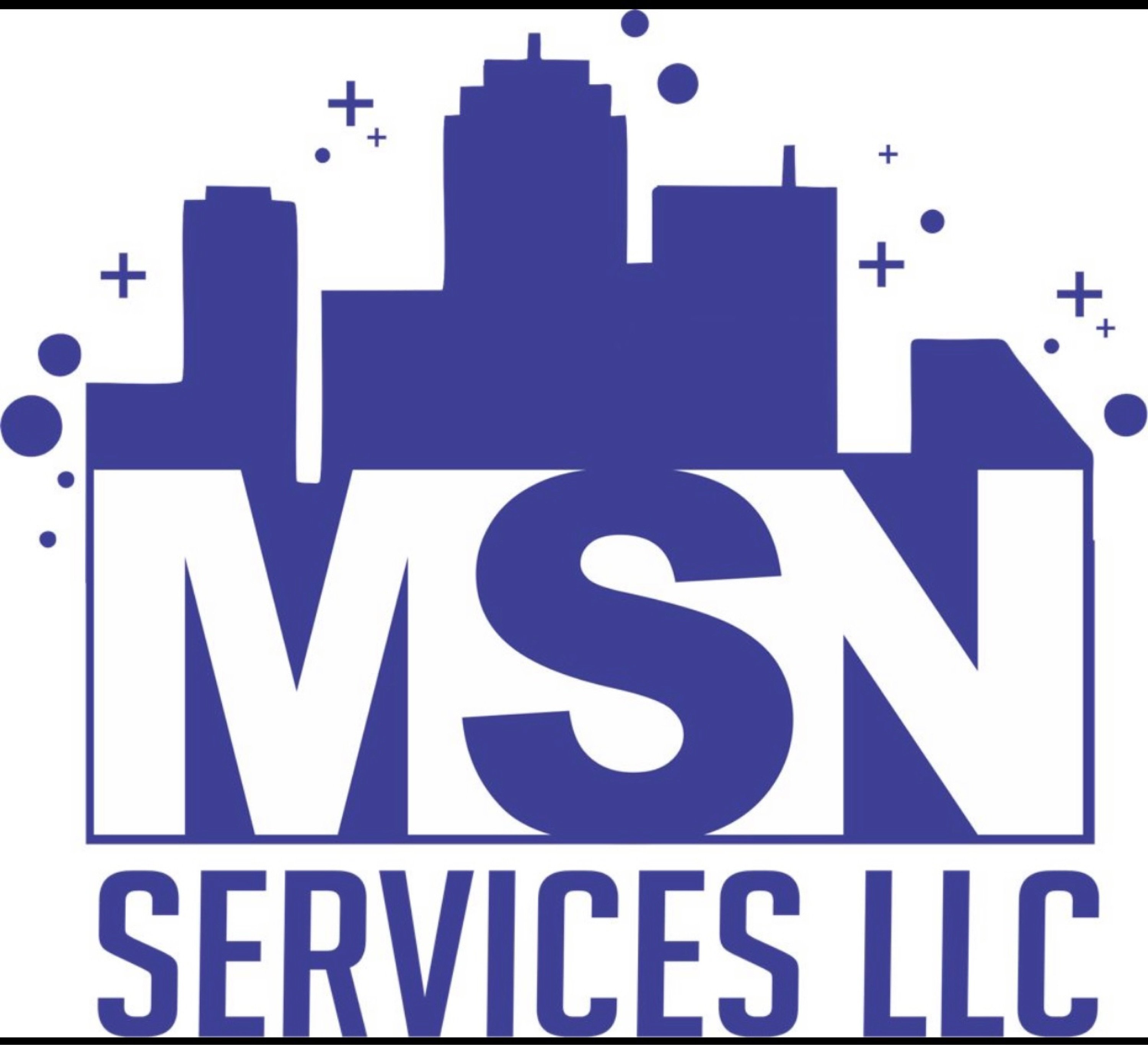 MSN Services Logo