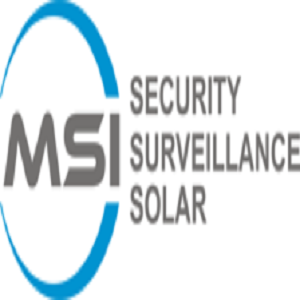 M.S.I. Logo