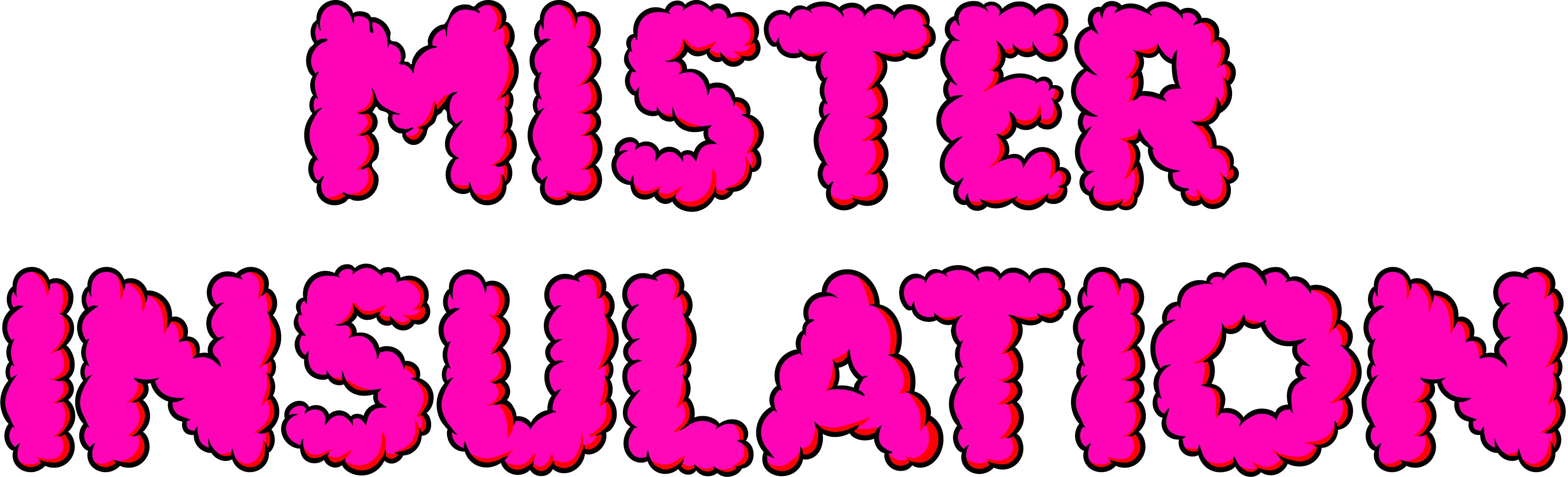 Mister Insulation LLC Logo