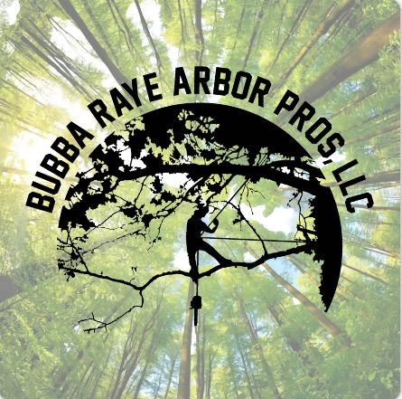 Bubba Raye Arbor Pros, LLC Logo