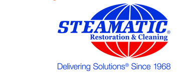 Steamatic of the Twin Cities Logo