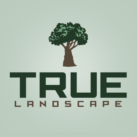 True Landscape Logo