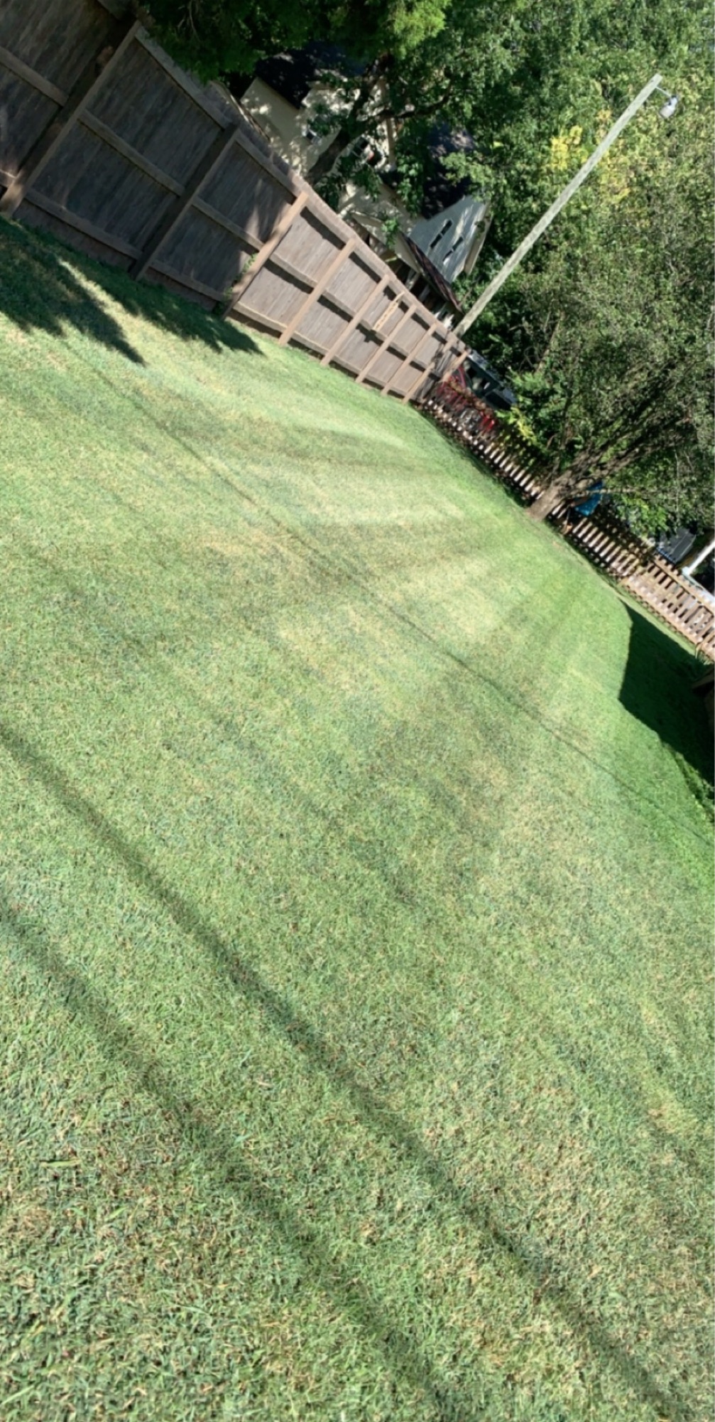 Hernandez Lawn Care Logo