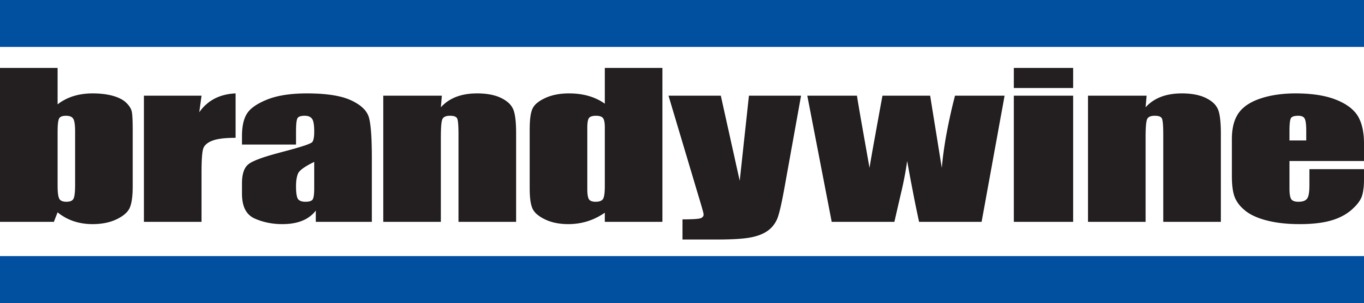 Brandywine Technical Partners, Inc. Logo