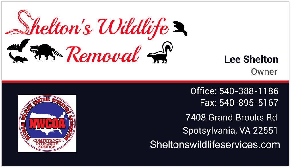 Shelton's Wildlife Removal Logo