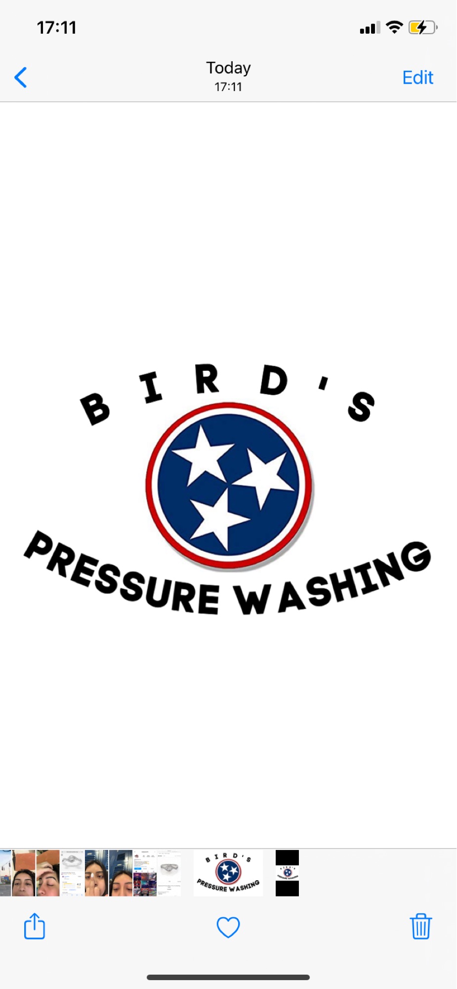 Bird's Pressure Washing Logo