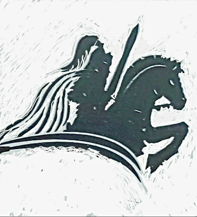 Knight Insulation Logo
