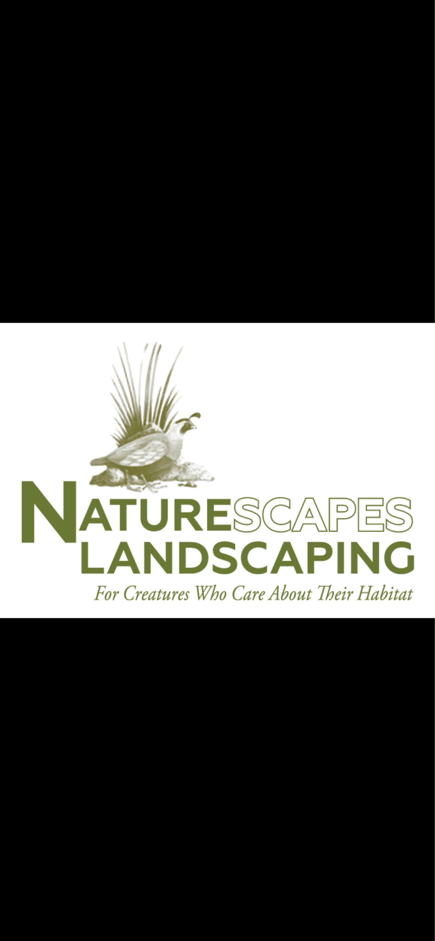 Naturescapes Landscaping, LLC Logo
