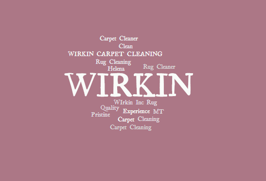 Wirkin, Inc. Logo