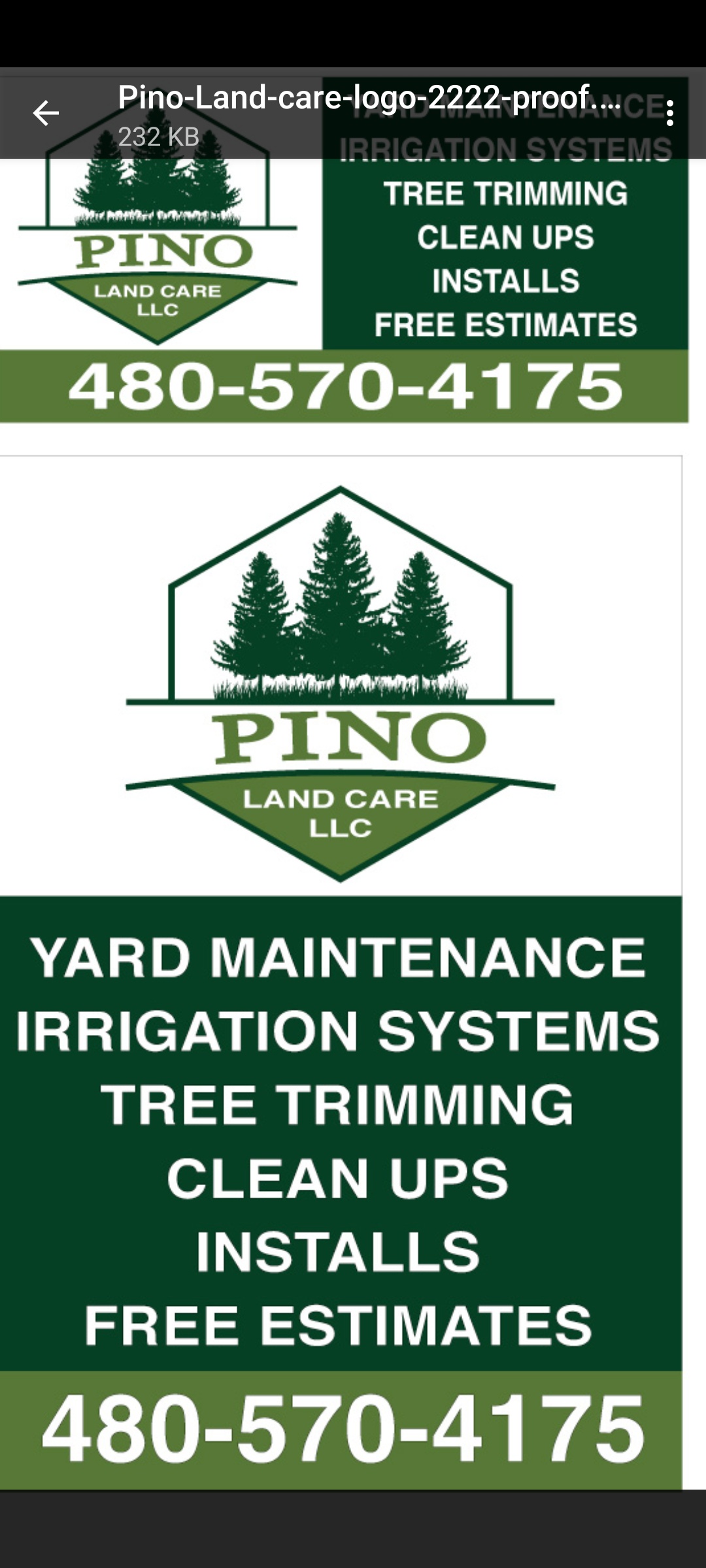 Pino Land Care Logo