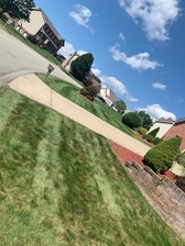 Options Landscaping, Outdoors, and Lawn Care, LLC Logo