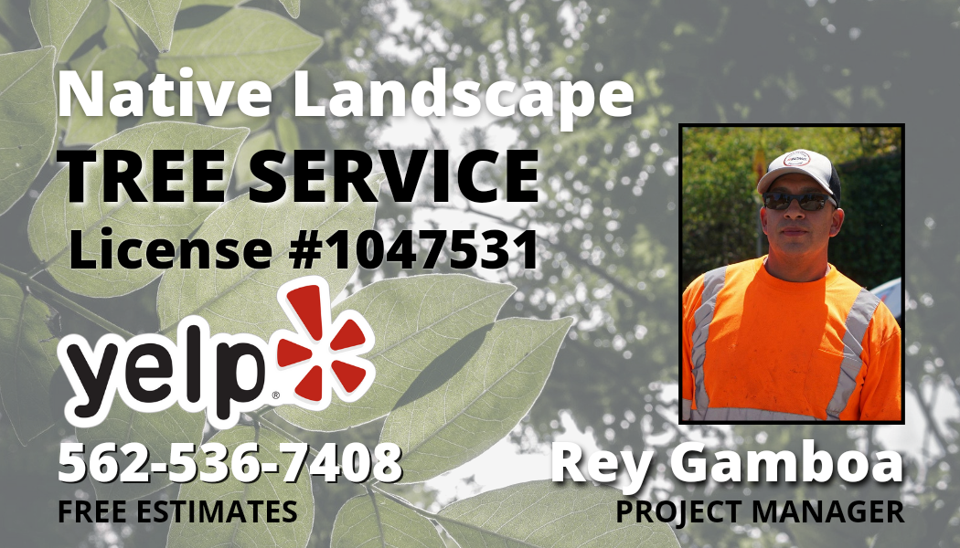 Native Landscape Tree Services Logo