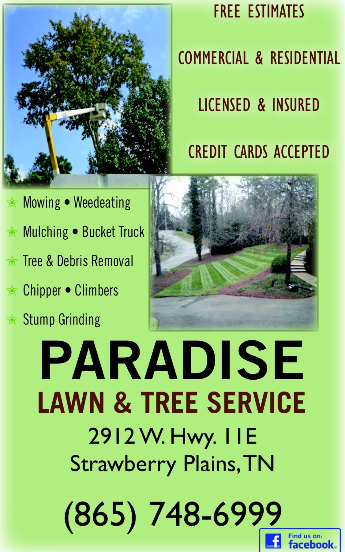 Paradise Lawn and Tree Service, Inc. Logo