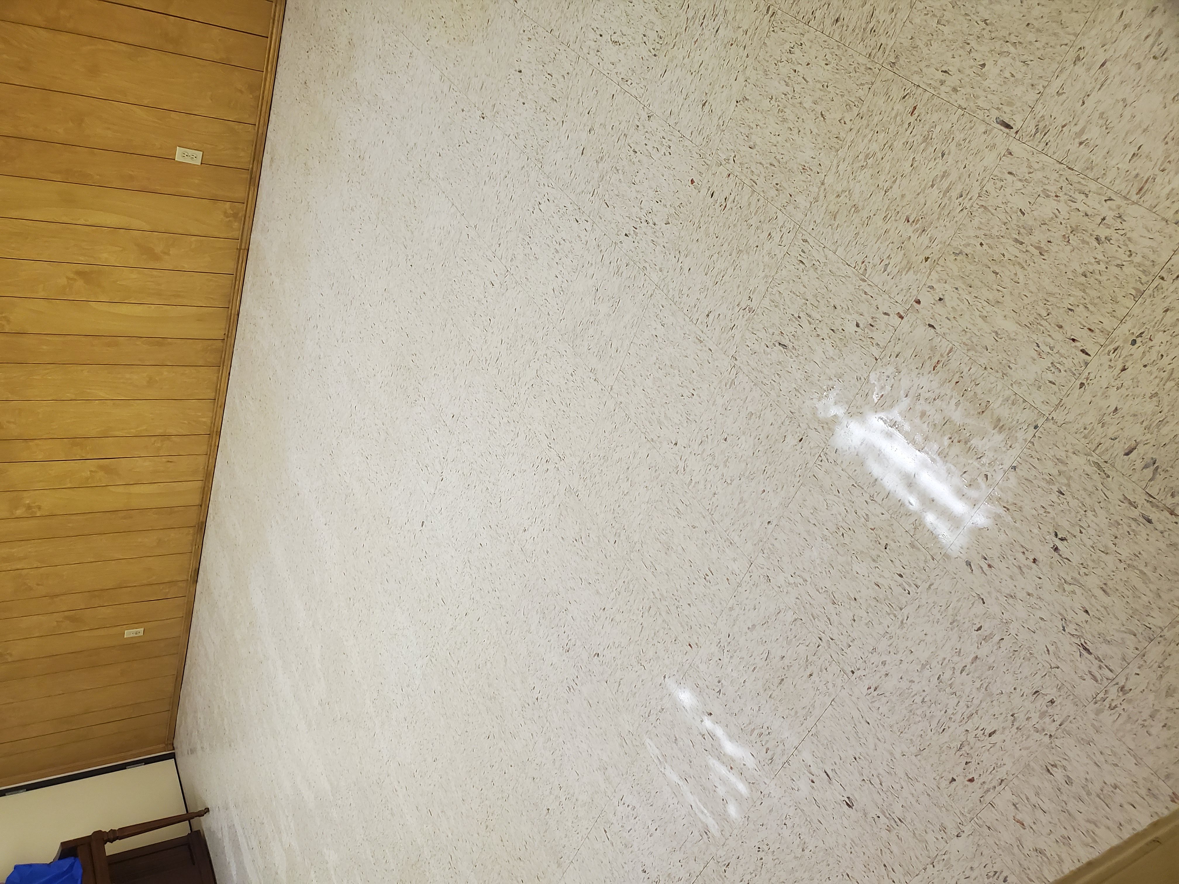 DT's Janitorial Service Logo
