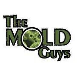 The Mold Guys Logo