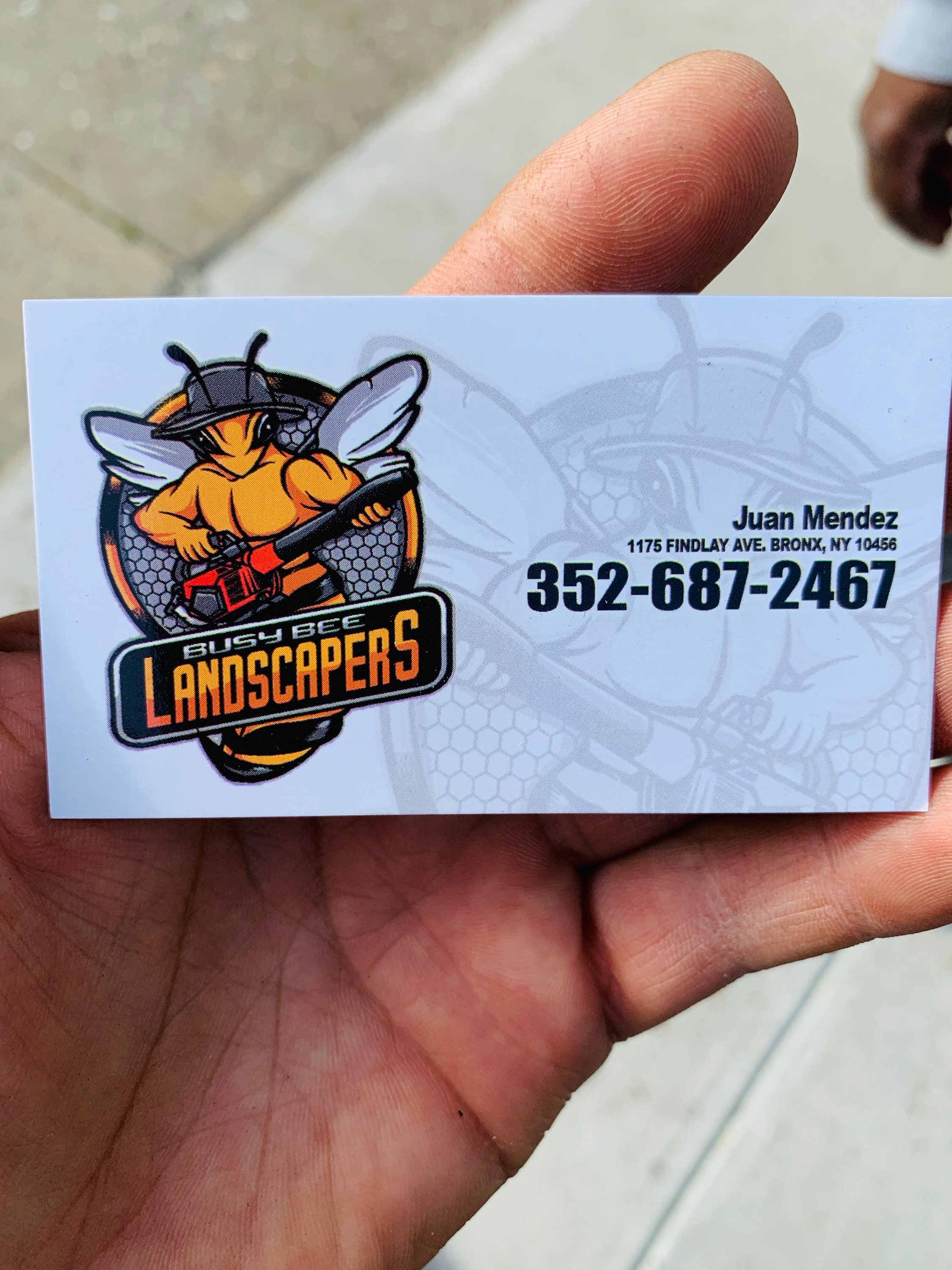 Busy Bee Landscapers Logo