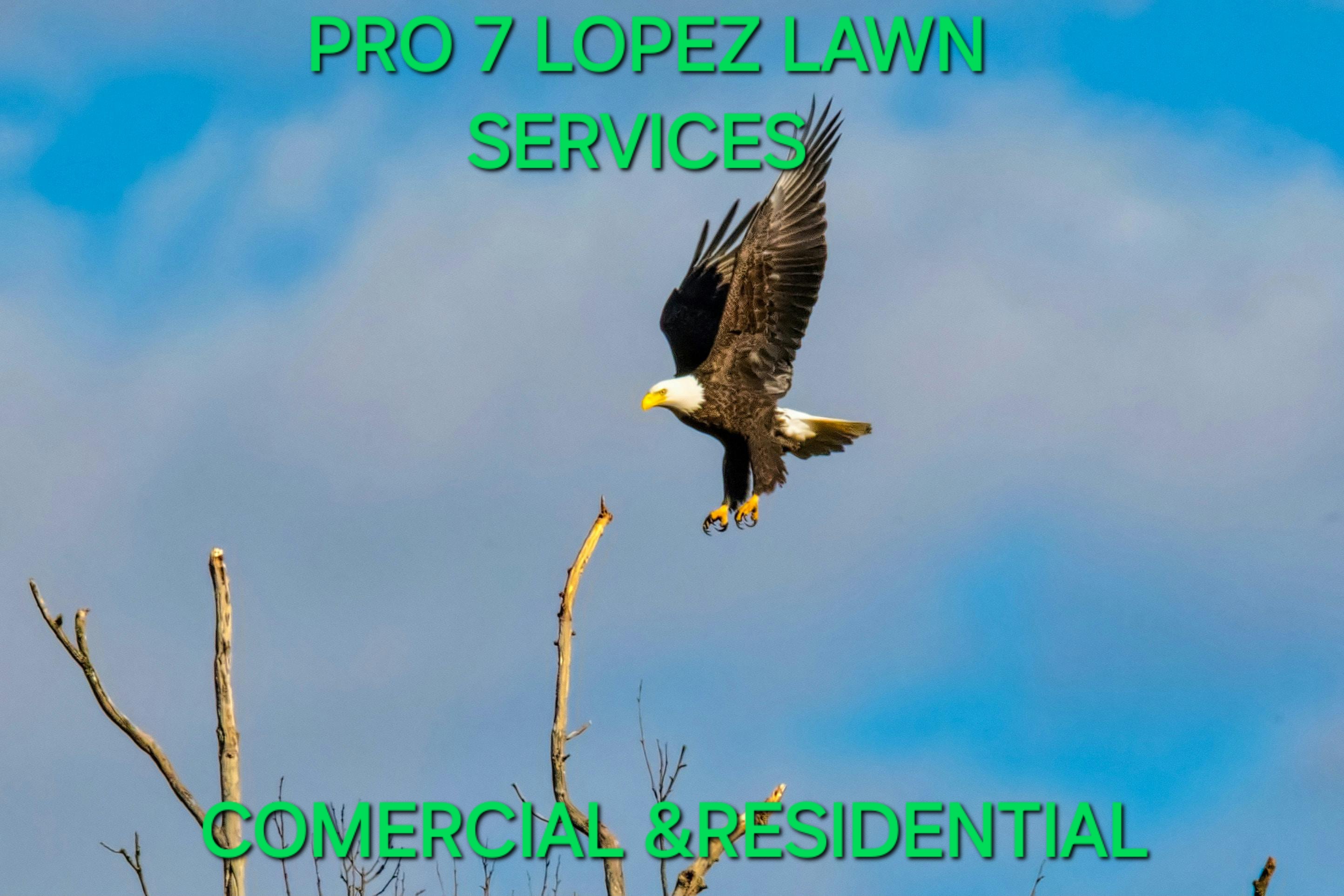 7 Lopez Lawn Service Logo