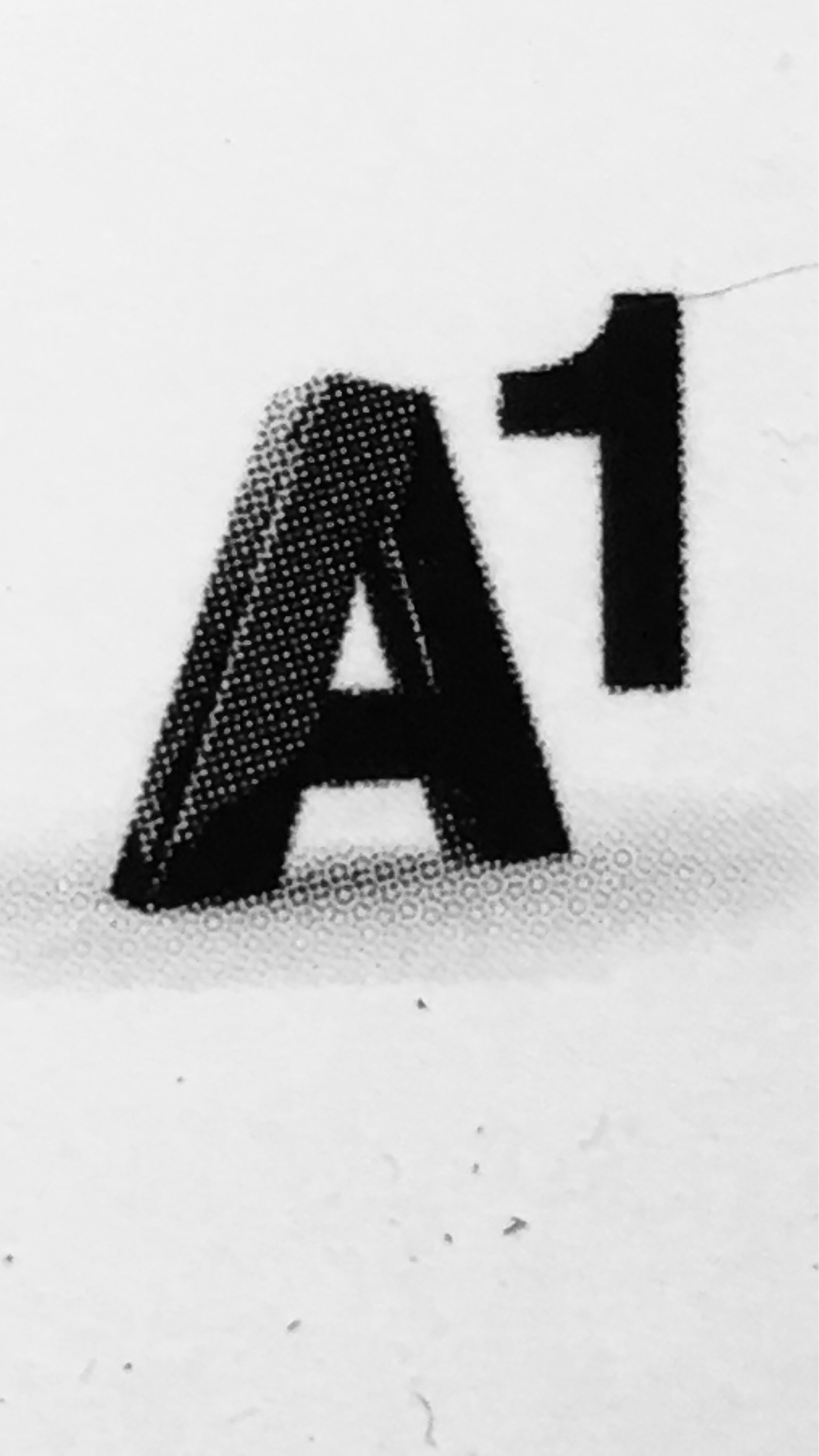 A1 Proclean Logo