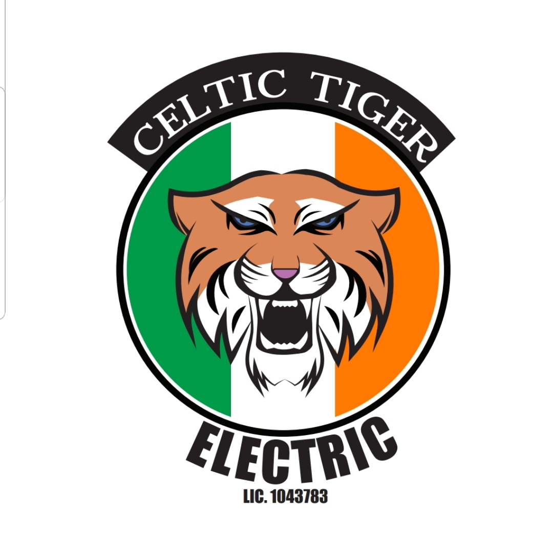 Celtic Tiger Electric Logo