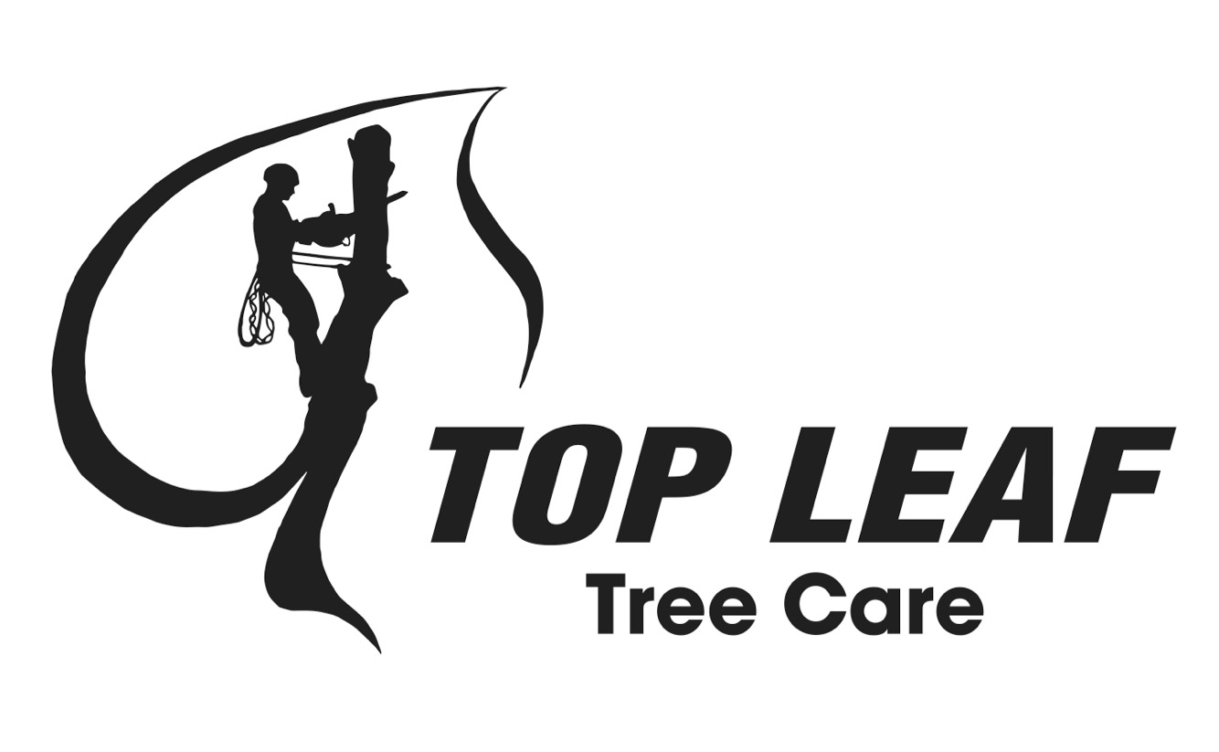 Top Leaf Tree Care Logo