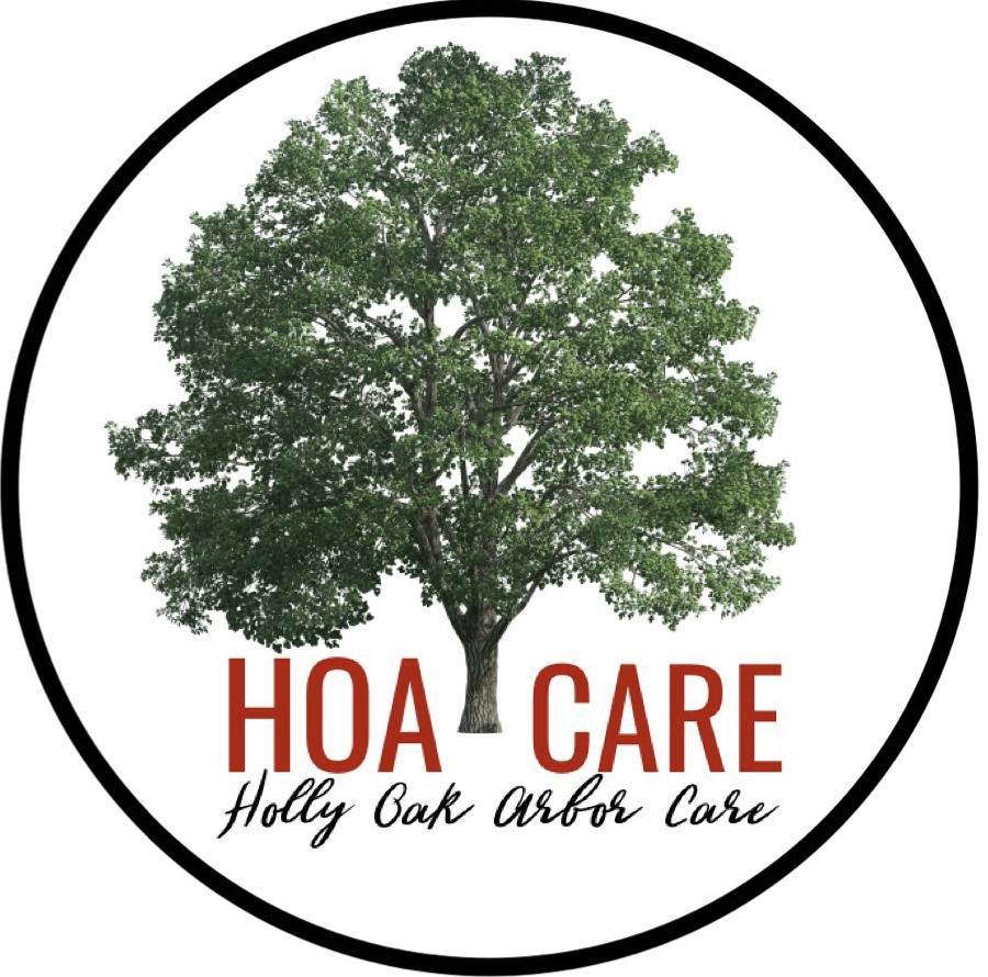 Holly Oak Arbor Care Logo
