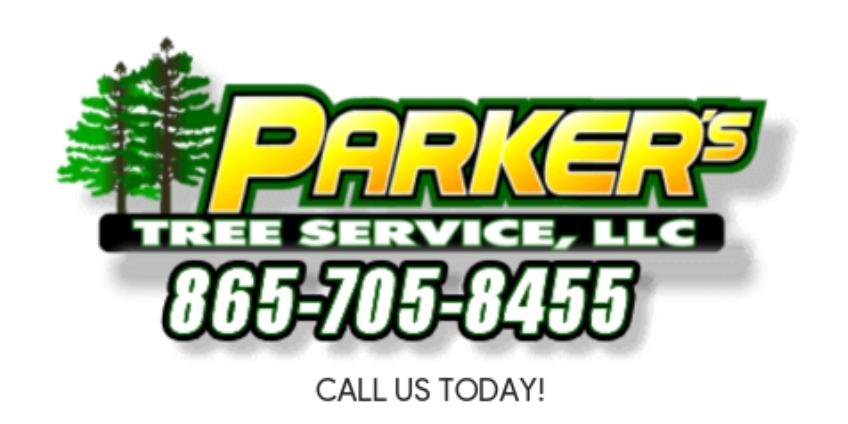 Parker's Tree Service Logo
