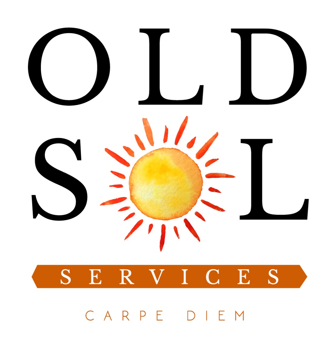Old SOL Services Logo