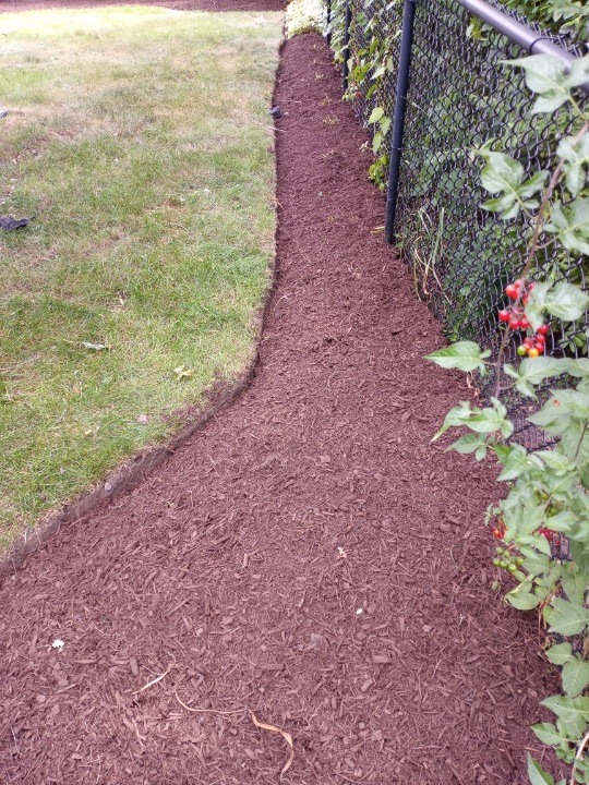 Anaya Landscaping Logo
