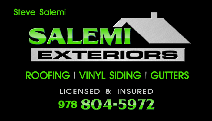 Salemi Exteriors Logo