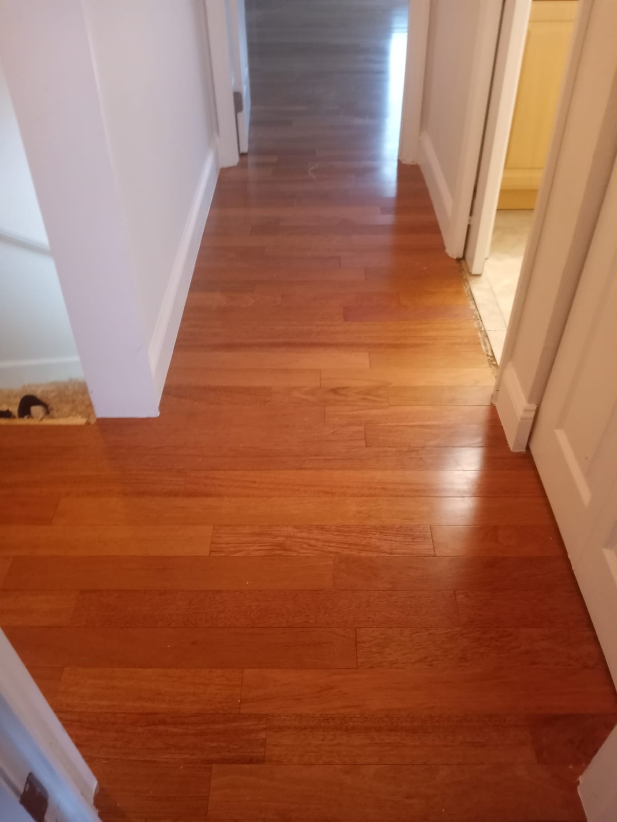Arcus Home and Flooring, LLC Logo