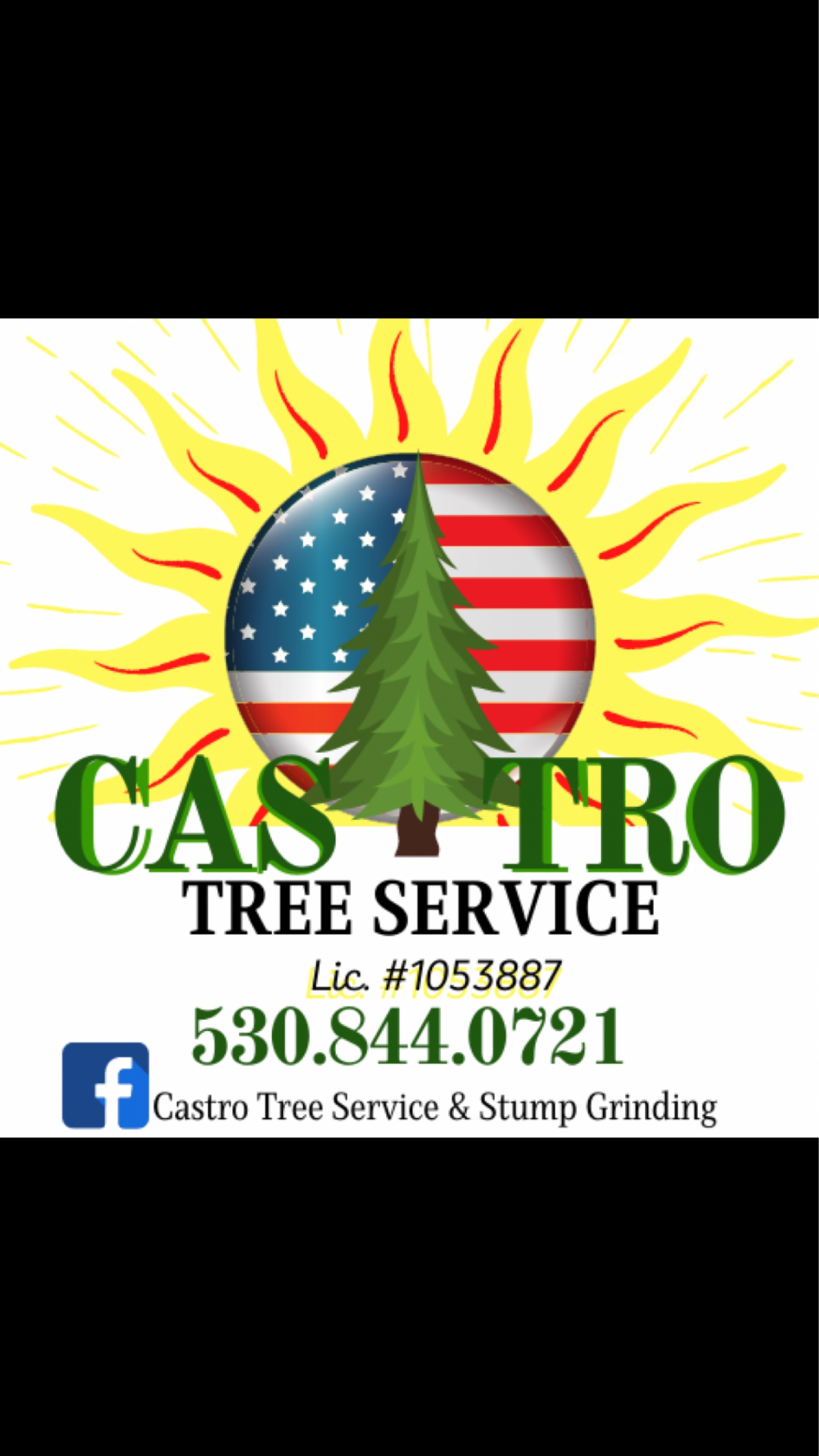 Castro Tree Service Logo