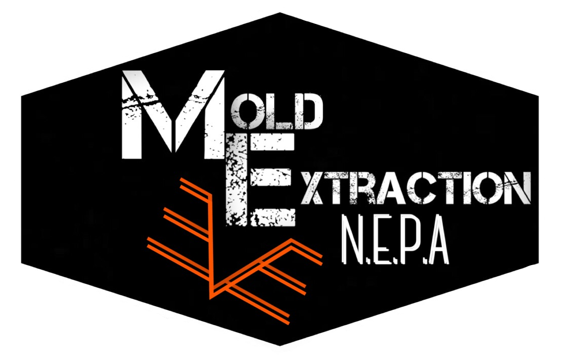 Mold Extraction NEPA, LLC Logo
