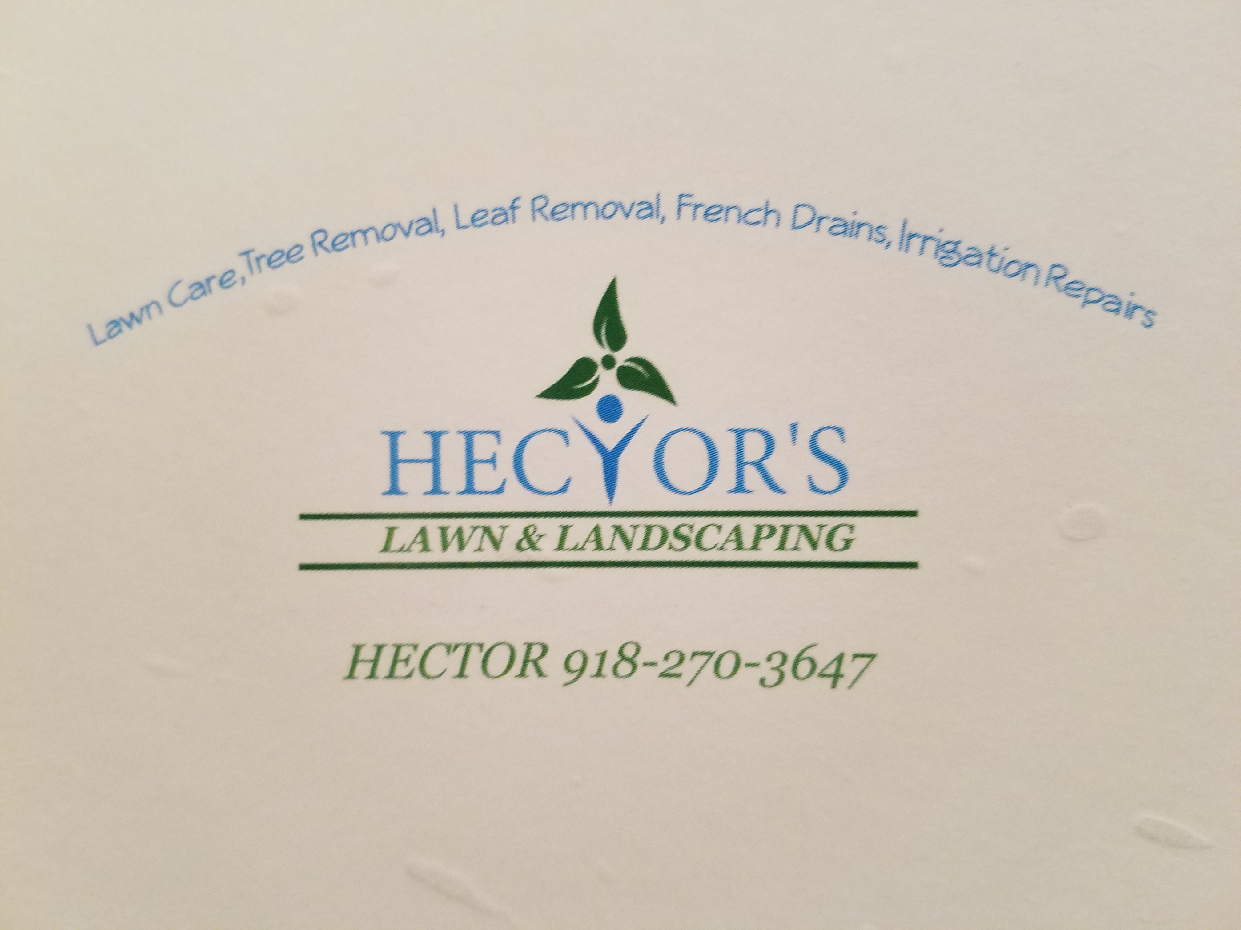 Hector's Lawn & Landscaping & Construction Logo