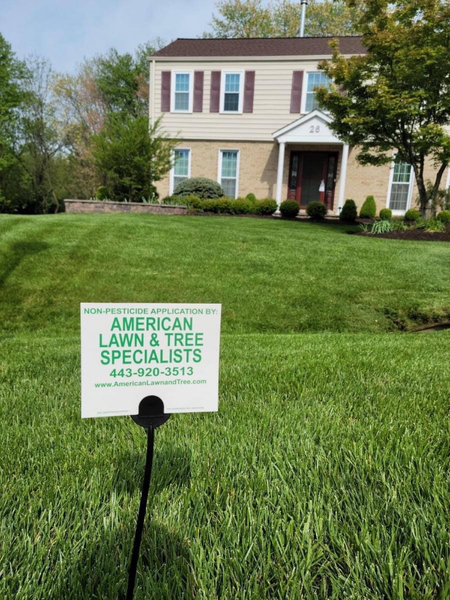 American Lawn Specialists, Inc. Logo