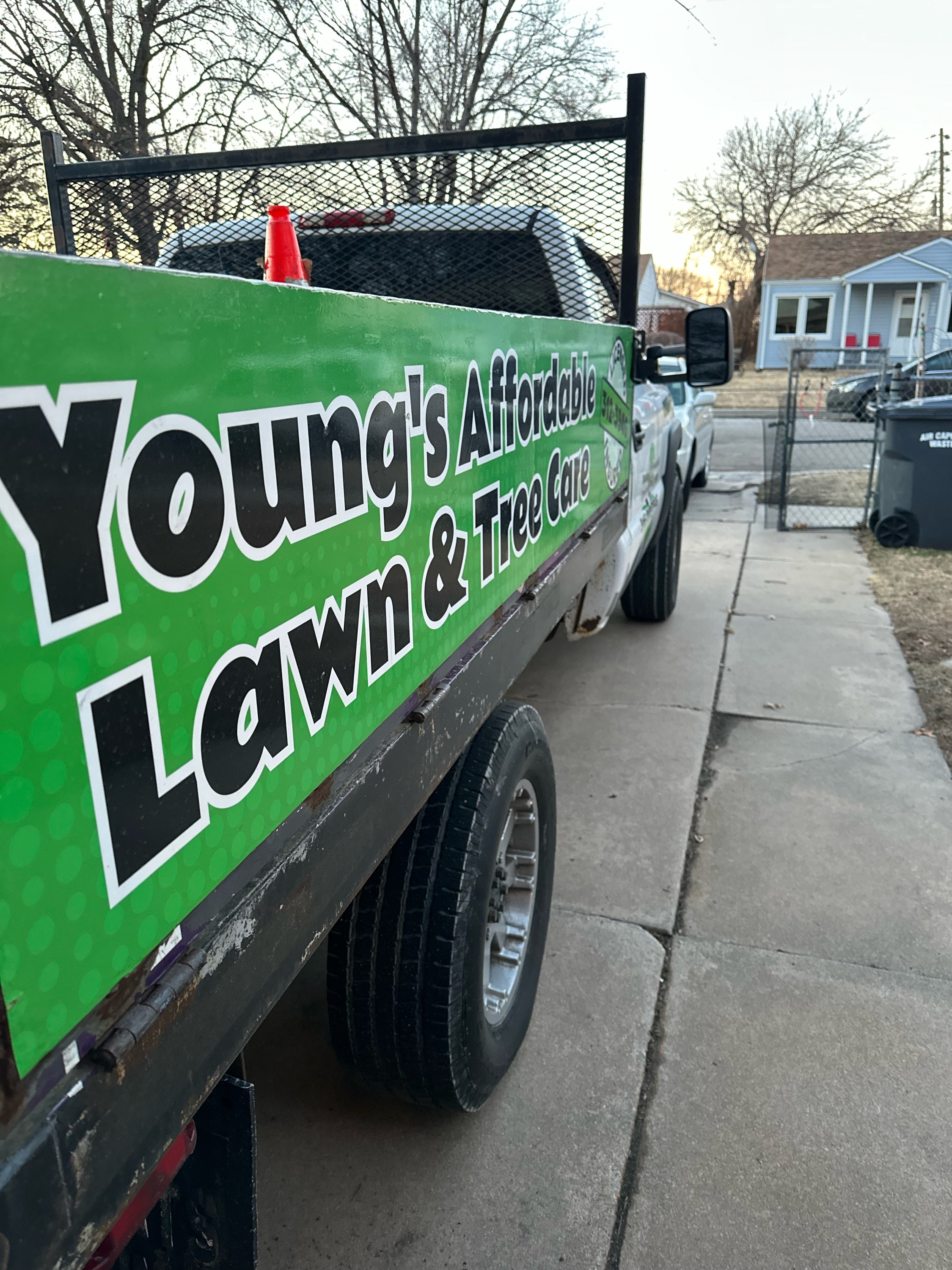 Young's Affordable Lawn and Tree Care Logo