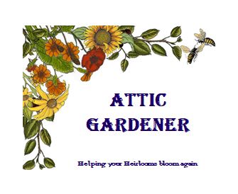 Attic Gardener, LLC Logo