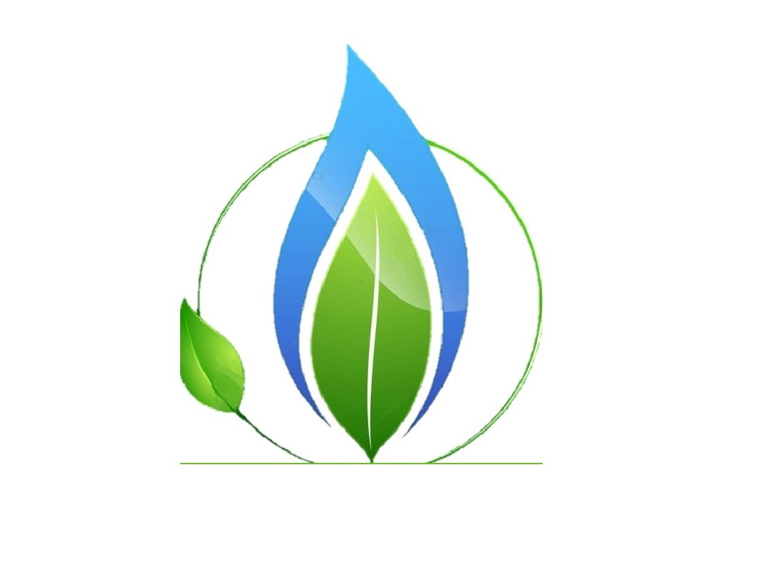 Mayo Gas Systems Logo