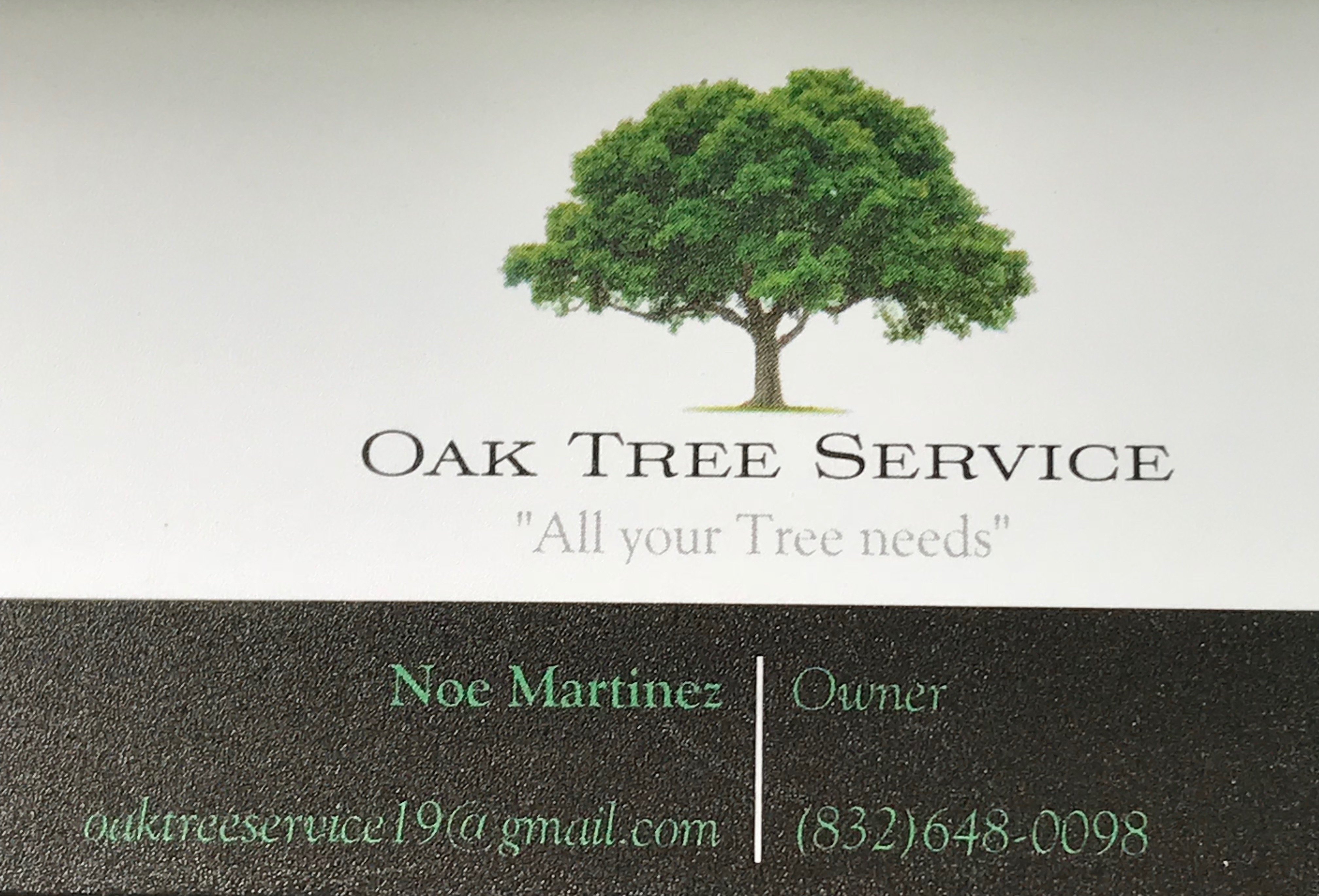 Oak Tree Service Logo
