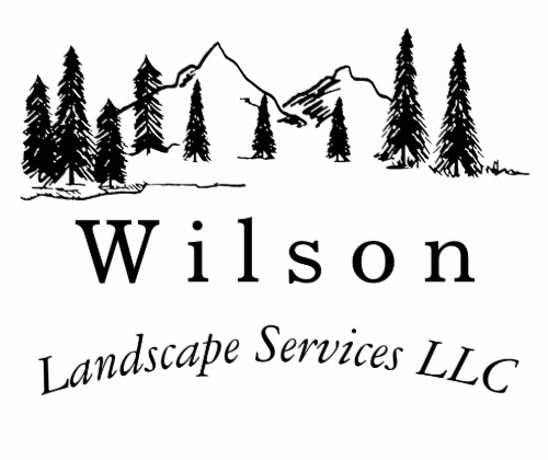 Wilson Landscape Services, LLC Logo
