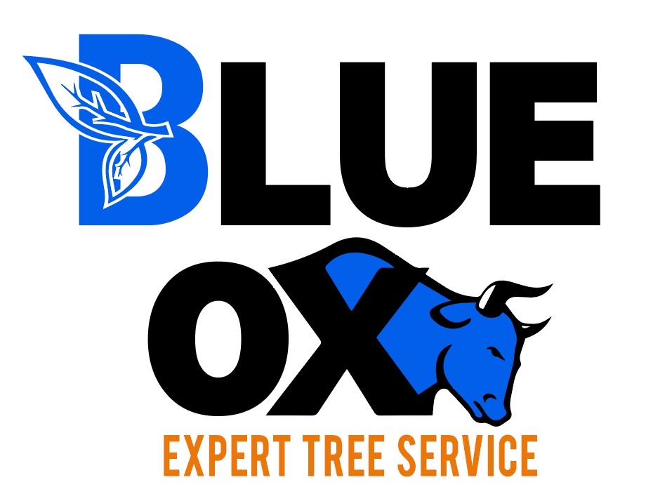 Blue Ox Expert Tree Service Logo