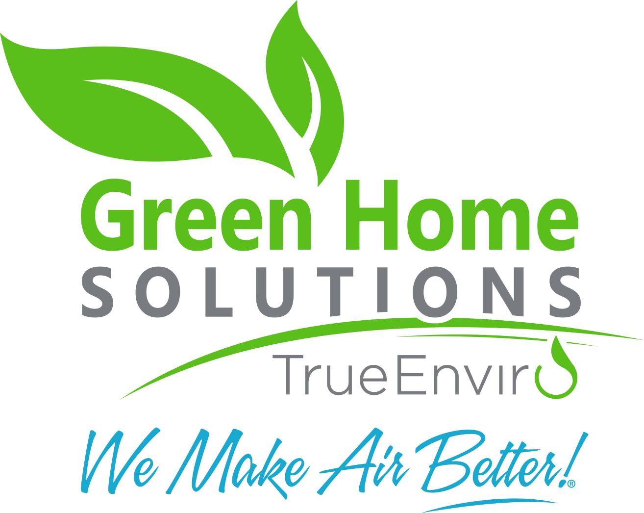 Green Home Solutions TrueEnviro Logo
